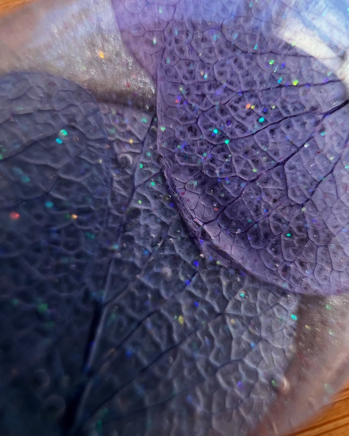 Фиба "Цветна Вихрушка"